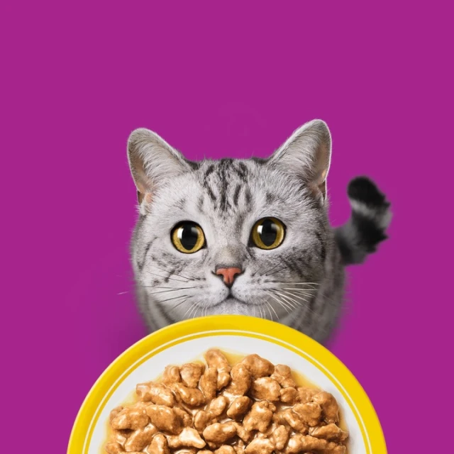 Вологий корм для котів Whiskas Variety Pack асорті 40 шт x 85 г (4008429198533)