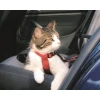 Шлейка автомобільна для котів Trixie Red (4011905012940)