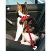Шлейка автомобільна для котів Trixie Red (4011905012940)