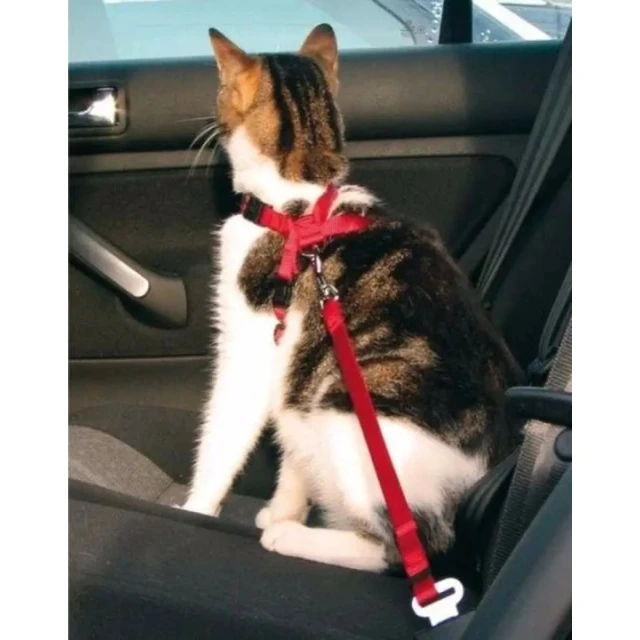 Шлейка автомобільна для котів Trixie Red (4011905012940)