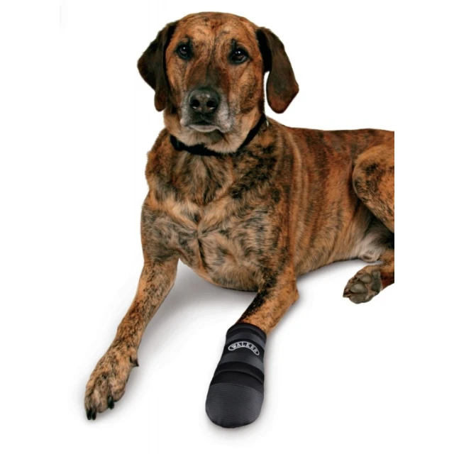 Черевики захисні для собак Trixie XL 2 шт Rhodesian Ridgeback (4011905019598)