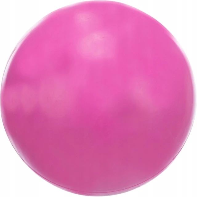 М'яч гумовий твердий Trixie 7,4 см (4011905033020)