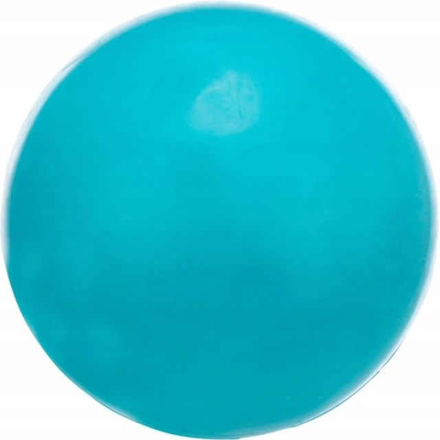 М'яч гумовий твердий Trixie 8,5 см (4011905033037)