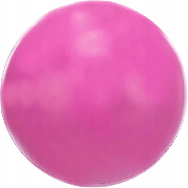 М'яч гумовий твердий Trixie 8,5 см (4011905033037)
