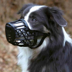 Намордник для собак Trixie пластиковий XS 15 см (4011905176017)