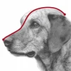 Намордник для собак Trixie пластиковий XS 15 см (4011905176017)
