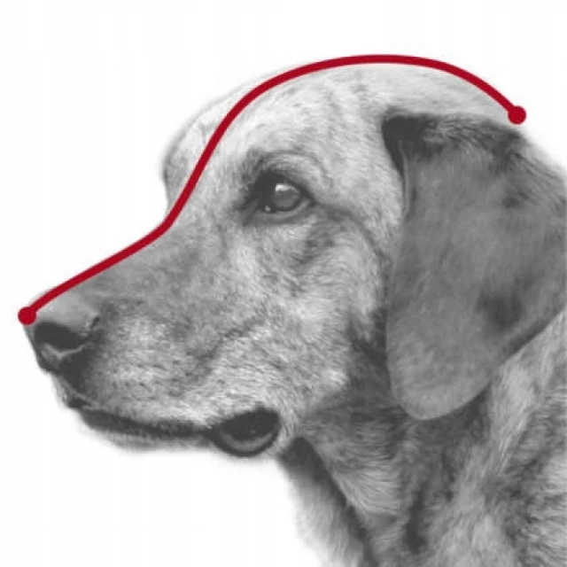 Намордник для собак Trixie пластиковий XS 15 см (4011905176017)