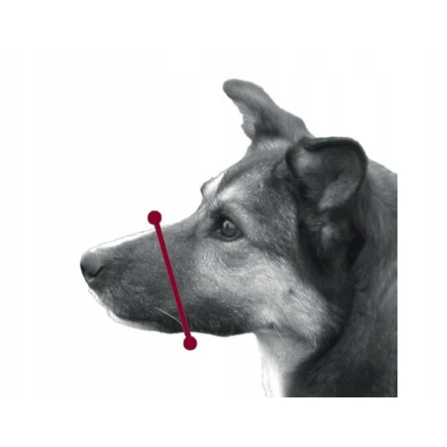 Намордник для собак Trixie пластиковый M-L 26 см (4011905176055)