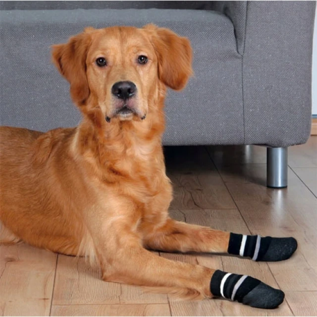 Шкарпетки для собак Trixie протиковзні XL Black 2 шт (4011905195261)