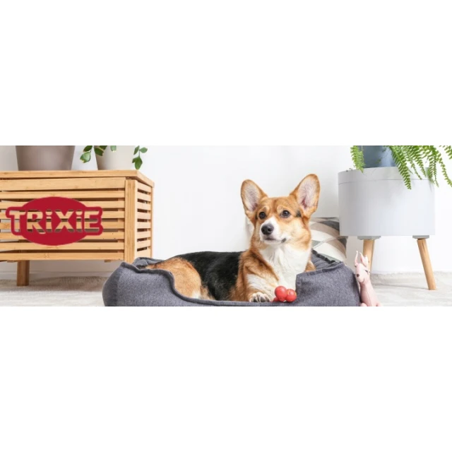 Іграшка для гризунів Trixie Морква з трави 25 см (4011905626246)