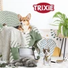 Іграшка для гризунів Trixie Морква з трави 25 см (4011905626246)