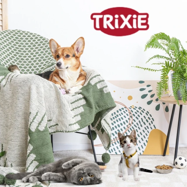 Іграшка для гризунів Trixie Морква з трави 25 см (4011905626246)