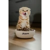 Сухий корм для кошенят Josera JosiCat Kitten 650 г (4032254773962)