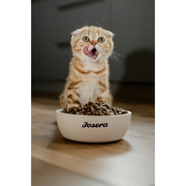 Сухий корм для кошенят Josera JosiCat Kitten 650 г (4032254773962)