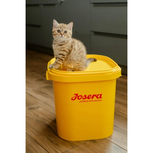 Сухий корм для кошенят Josera JosiCat Kitten 650 г (4032254773962)