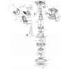 Щітка з щіткотримачем DeWALT для DWE6423 (5025537154106)
