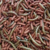 Корм для їжаків Tropical Tropifit ATELERIX 3 л (5900469531860)