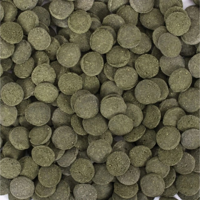 Корм для риб Tropical Hi-Algae Discs 250 мл 150 г (5900469613344)