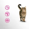 Сухий корм для котів Perfect Fit Active з яловичиною 750 г (5900951307782)