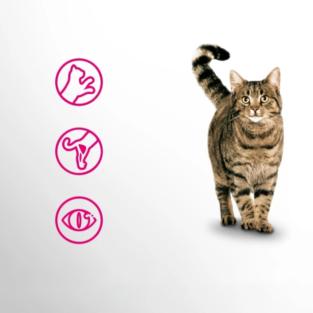 Сухий корм для котів Perfect Fit Active з яловичиною 750 г (5900951307782)