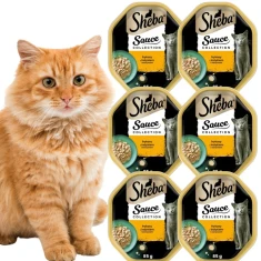 Вологий корм для котів Sheba з індичкою в соусі 6 шт x 85 г (5900951353680)