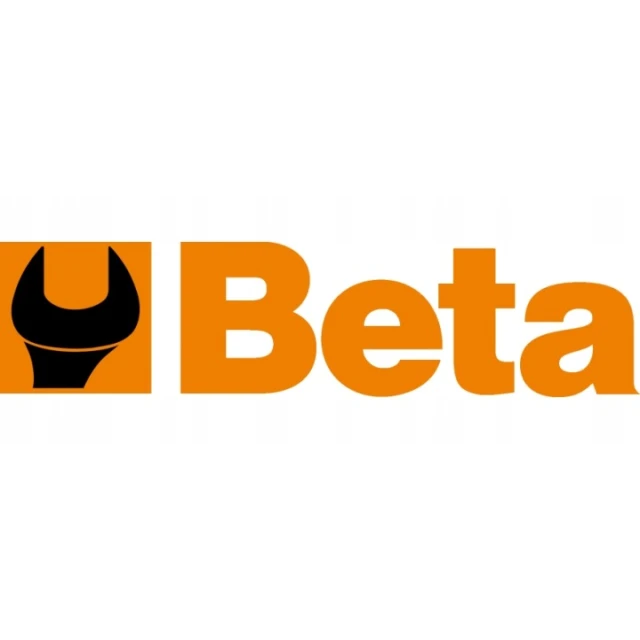 Шприц для змащування ручний BETA 500 см³ з шлангом 10x310 мм (8014230698625)