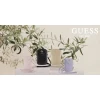 Сумка Guess Zip Triangle 4G Black (GUWBZPGSTEGK)