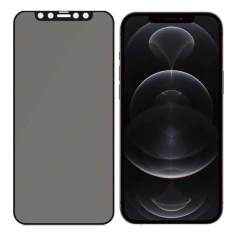 Захисне скло PanzerGlass Super Plus Privacy для iPhone 12 | 12 Pro Black (P2711)
