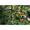 Секатор акумуляторний DeWALT 18V 1x5Ah (DCMPP568P1-QW)
