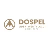 Дверцы ревизионные DOSPEL 250x300 мм пластиковые (007-4215)