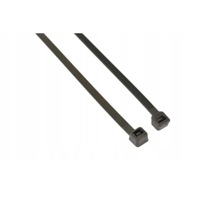 Стяжка пластикова Bradas 250x4,8 мм, 100 шт, Black (TS1148250B)