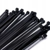 Стяжка пластикова Bradas 300x4,8 мм 100 шт Black (TS1148300B)