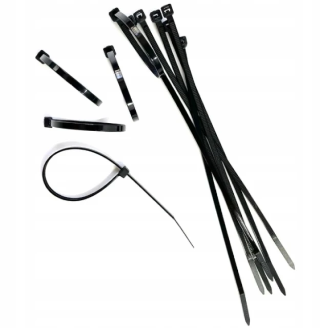 Стяжка пластикова Bradas 300x4,8 мм 100 шт Black (TS1148300B)