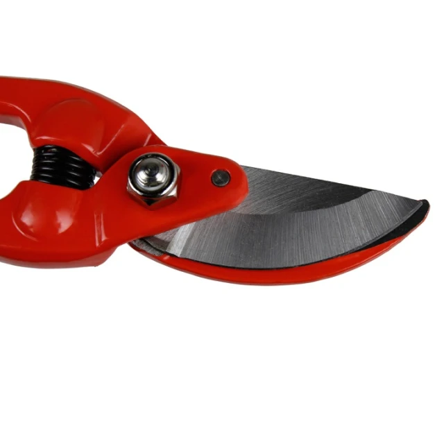 Секатор RG LINE Bradas 225 мм до 25 мм (KT-RG1027/8)