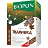 Удобрение осеннее для газона гранулированное BIOPON 1 кг (B1077)