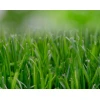 Добриво для газону довгодіючий BIOPON 1 кг (B1136)
