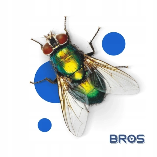 Мухоловка рулон BROS 25см x 10м 10 шт (B909)
