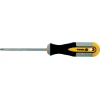Викрутка Torx Vorel T20 100 мм (60887)