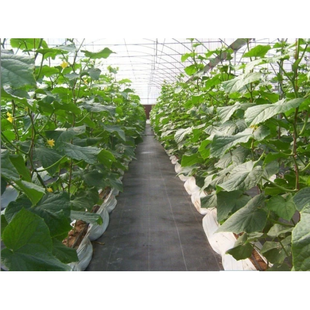 Агротканина PP чорна UV Bradas 90г/м² 100х0,4м (AT9404100)