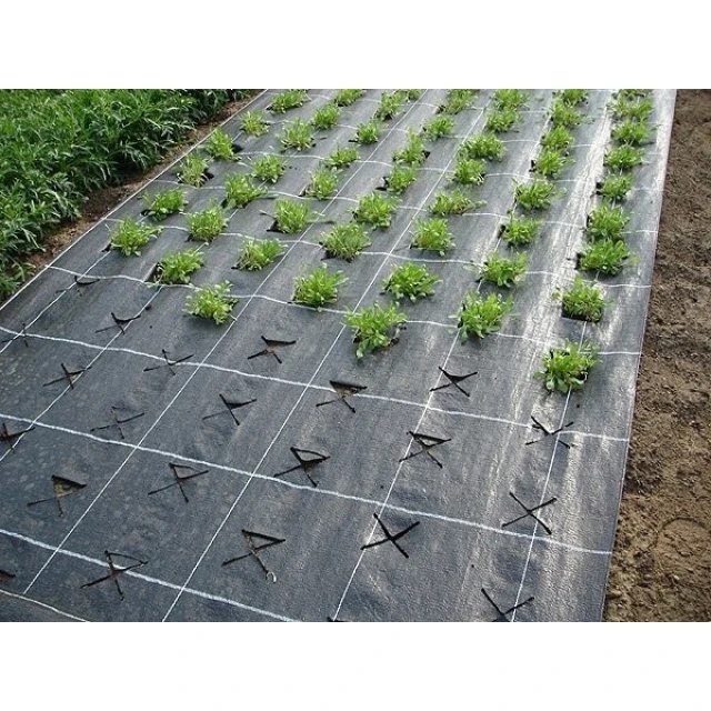Агротканина PP чорна UV Bradas 90г/м² 100х0,8м (AT9408100)
