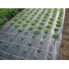 Агротканина PP чорна UV Bradas 90 г/м² 100х3,2 м (AT9432100)
