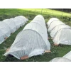 Агроволокно Bradas 50 White 10x1,6 м полотно (AWW5016010)
