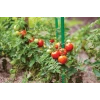 Палка садова сталева Bradas 0,8 см × 60 см, 10 шт (TYP08060)