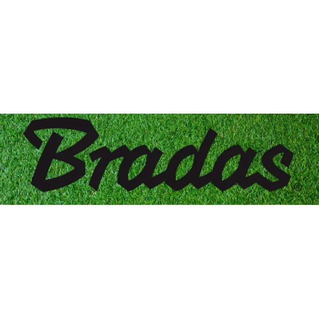 Редуктор тиску Bradas 1,0 BAR GW 1