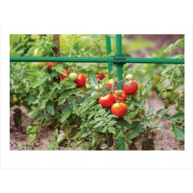 Палка садова сталева Bradas 0,8 см × 150 см, 10 шт (TYP08150)