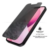Защитное стекло PanzerGlass Standard Fit Privacy для iPhone 13 mini (P2741)