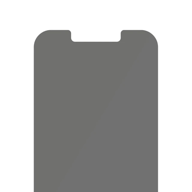 Защитное стекло PanzerGlass Standard Fit Privacy для iPhone 13 mini (P2741)