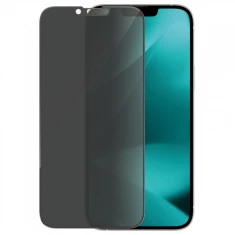 Захисне скло PanzerGlass Privacy для iPhone 14 Plus | 13 Pro Max (P2773)