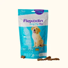 Кормова добавка для цуценят Vetoquinol понад 10 кг Flexadin Young Dog Maxi для суглобів 60 шт (03605874651227)