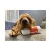 Вологий корм для собак JR Pet з індичкою 400 г (0604565018571)